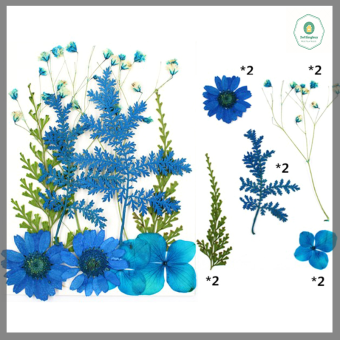 Hot Sale Hoa Ép hoa khô hỗn hợp hoa nghệ thuật tự làm quà tặng hoa nghệ thuật Tự Làm Thủ Công