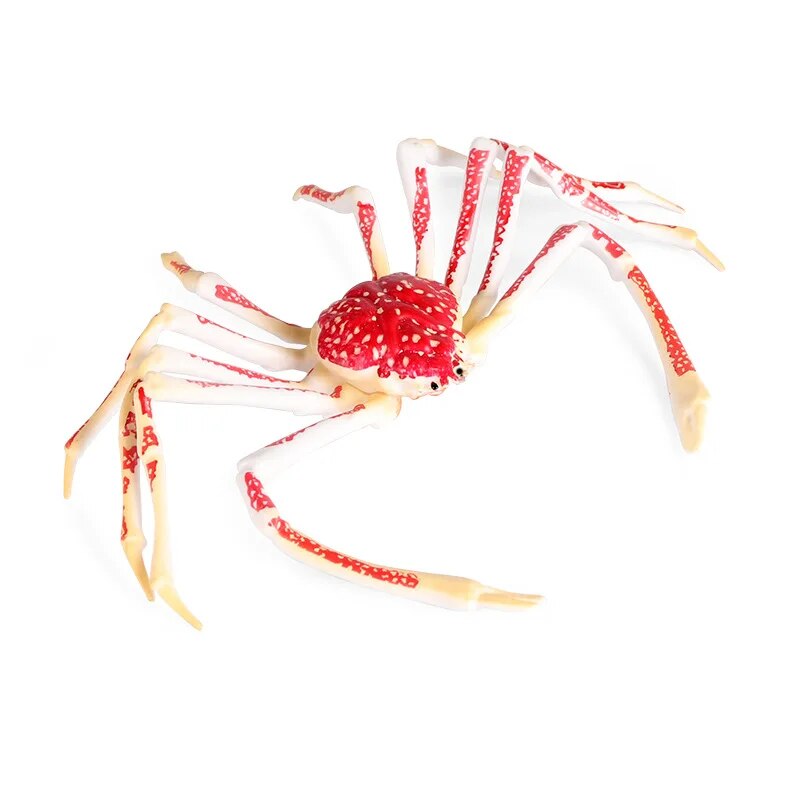 22CM Children Cognitive Marine Animal Crab Model Simulation King Crab Spider Crab Static Desktop Decoration Toys