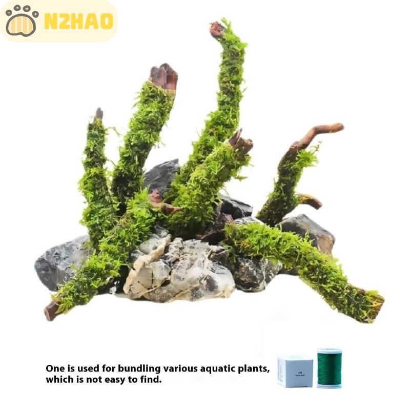 N2Hao Moss Grass Bottle Made from Biodegradable Cotton, Size 200 M. Water Grass Garden Decoration Equipment ราคา 90 บาท*ส่งฟรี