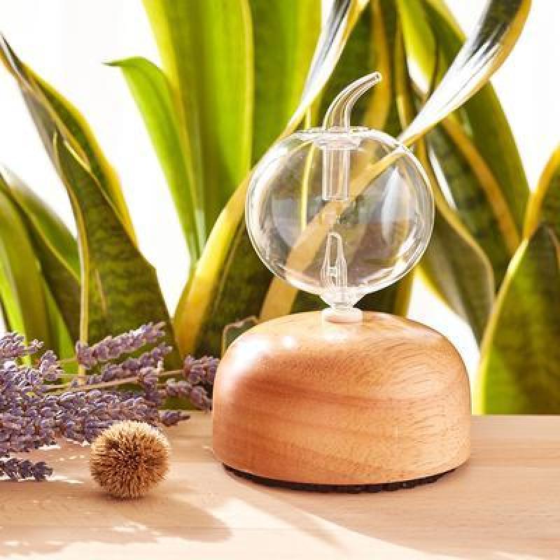 Buy Nebulizing Essential Oil Diffuser Singapore