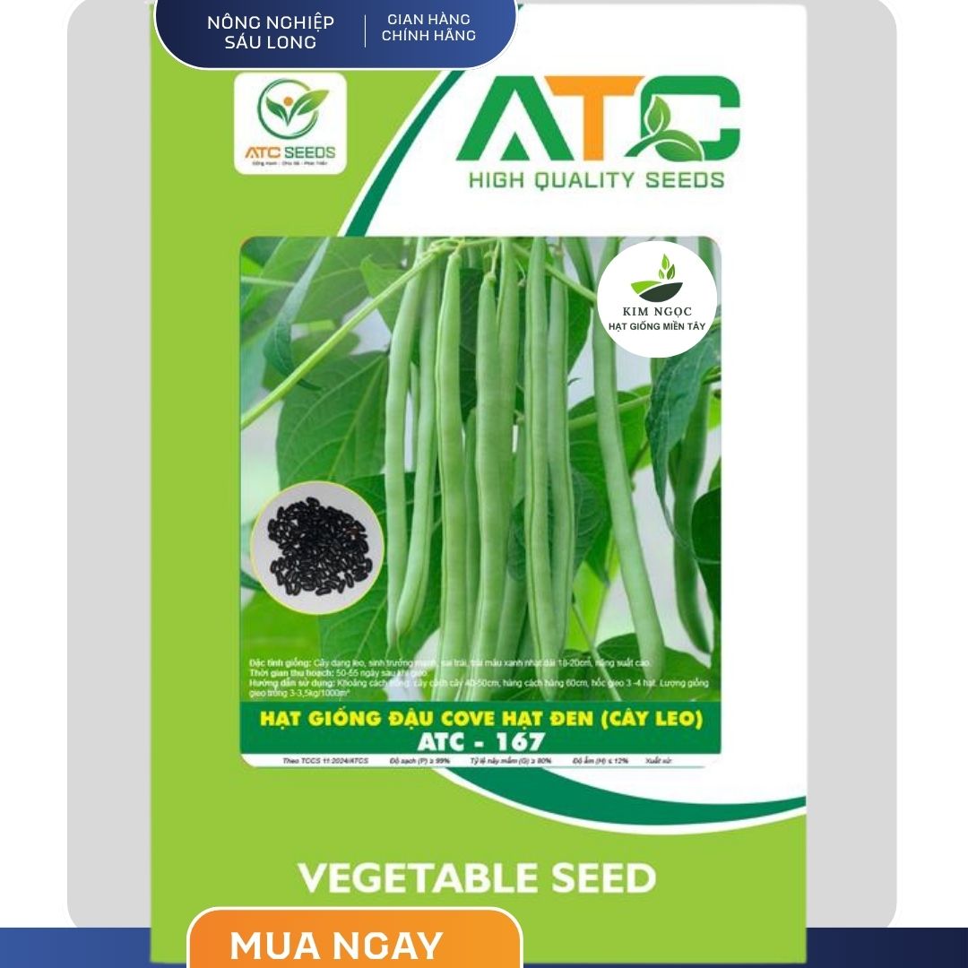 ATC-167 (Gói 100gram) Hạt Giống Đậu Cove Hạt Đen (DẠNG leo)  - Sai trái, hạt đen, trái thẳng, vỏ đẹp