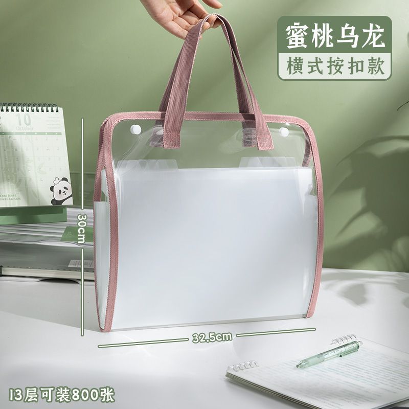 Cmax Clear Document Bag | Heavy-Duty PVC Transparent File Pouch with Large Capacity