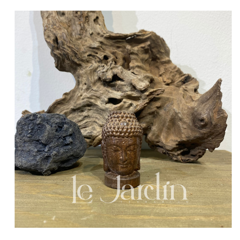Tượng phật gỗ trang trí terrarium tượng phật mini trang trí tiểu cảnhtrang trí thủy sinh