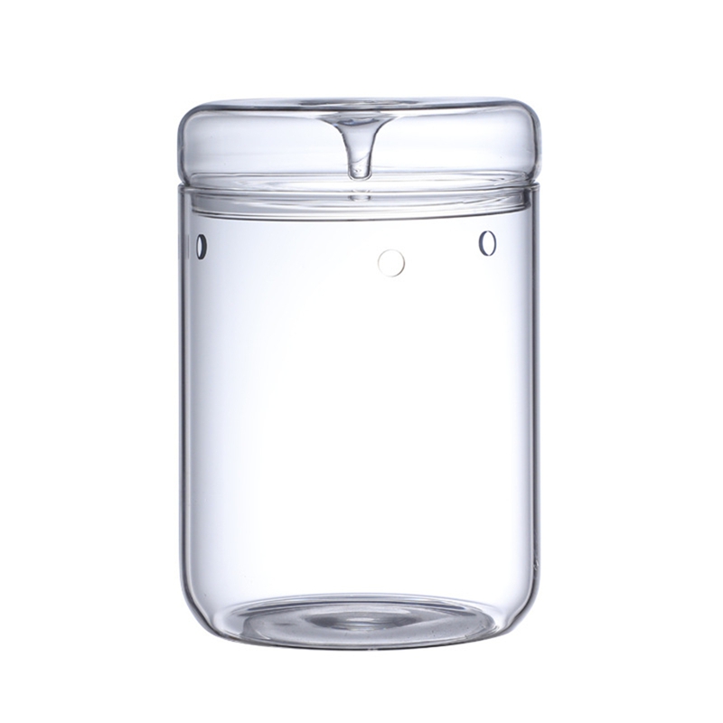 Micro-Landscape Glass Terrarium with Dew Collection Cover Bonsai Vase Glass Microscopic Landscape Ecological Bottle