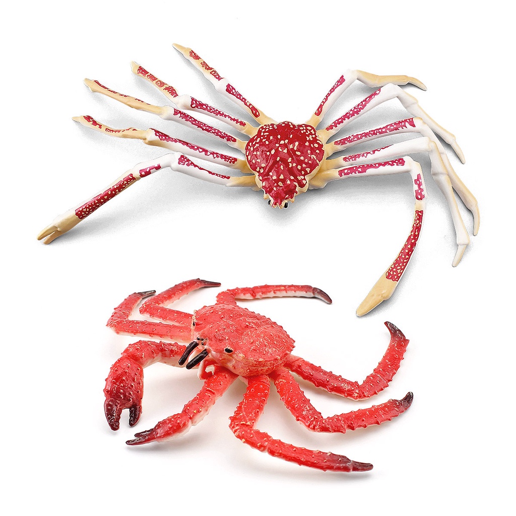 {Xingxing toy} Children's Cognitive Marine Animal Crab Model Simulation King Spider Static Desktop Decoration Toy