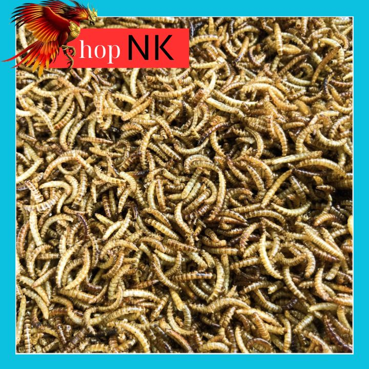  Sâu Gạo sấy khô 100gr thức ăn dinh dưỡng cho Hamster chim gà đá cá cảnh sóc nhím 