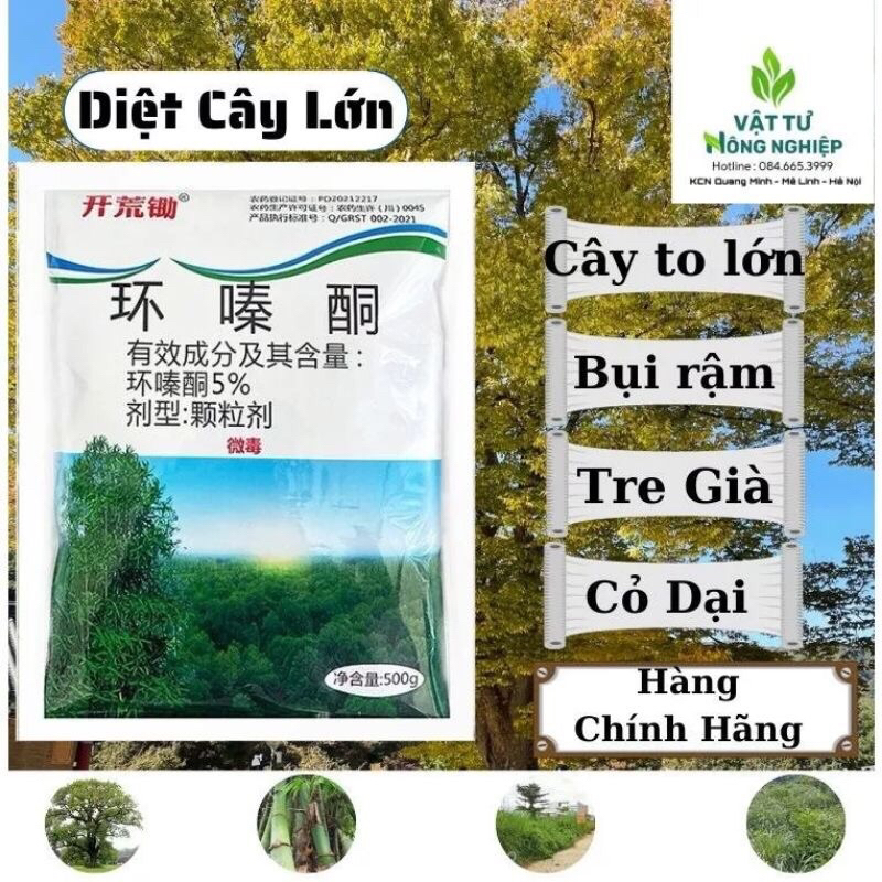 {VUA DIỆT CÂY GỖ} thuốᴄ Diệt Cây Gỗ To .Chỉ cần Rắc