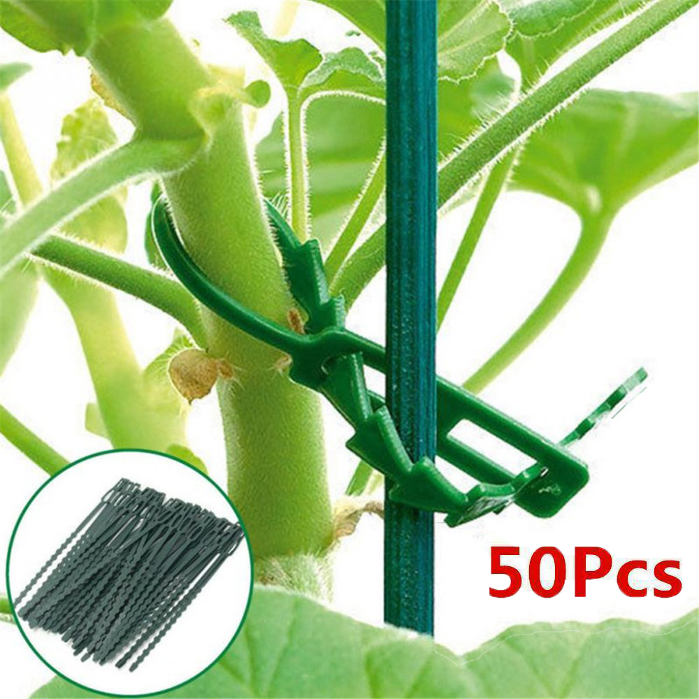 Tiết ra môi trường xung quanh light78se0 50pcs dụng cụ cầm tay nhựa có thể điều chỉnh cây bụi Fastener dụng cụ làm vườn cây Dây buộc cáp cây leo hỗ trợ