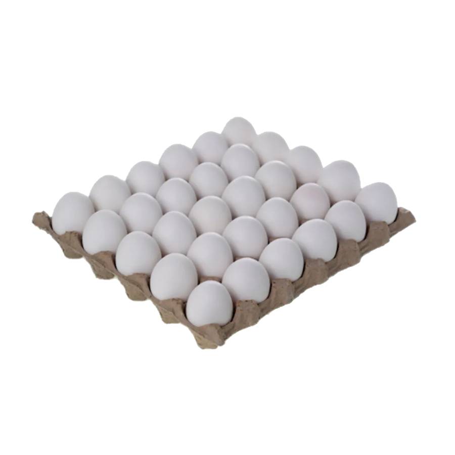 Premium Large White Eggs  by Bounty Fresh