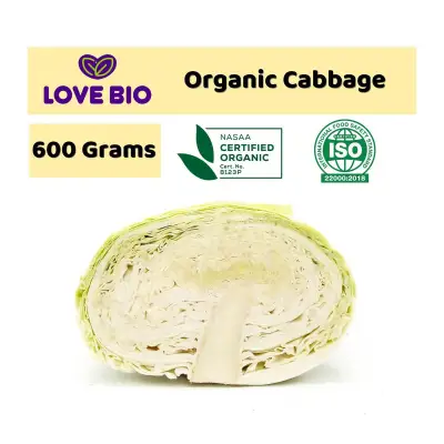 LOVE BIO Organic Cabbage