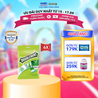 Combo 6 Túi Viên Ngậm Không Đường Doublemint Hương Bạc Hà Túi 30 Gói 2 Viên singum