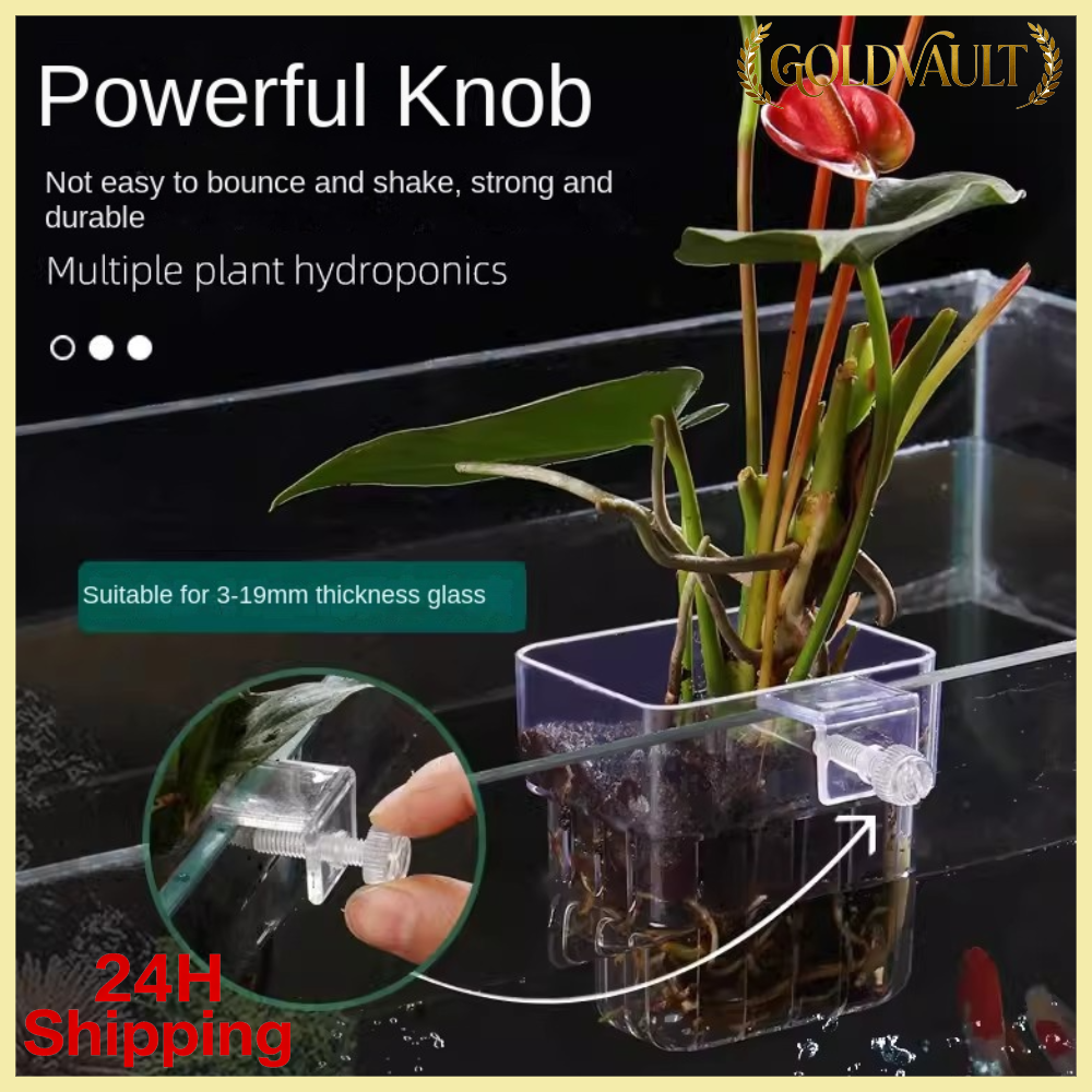 GOLDVAULT Cảnh quan Cây nước Giỏ trồng thủy canh bể cá Bể trồng Chậu cảnh quan Cốc Trồng Cây cho bể cá Thủy canh Giá treo cây thủy sinh Cho bể cá