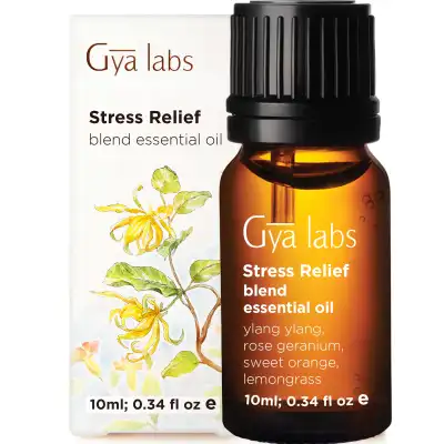 Gya Labs Stress Relief Essential Oil Blend - Rose Geranium & Ylang Ylang for Stress Relief & Calming Relaxation (10ml) - 100% Pure Therapeutic Grade Aromatherapy Essential Oils Blends for Diffuser