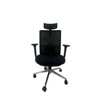 Ergoworks Ergonomic Chair Adjustable Lumbar Support Truly One Chair EW-H102-BK