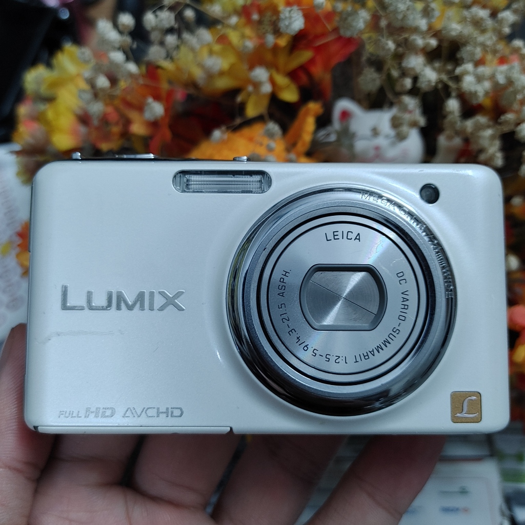 Máy Ảnh Panasonic Lumix FX77 (digicam)
