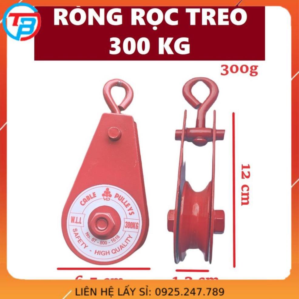 Ròng Rọc Pully 300 kg - Cáp Thép Thái Bình Vina