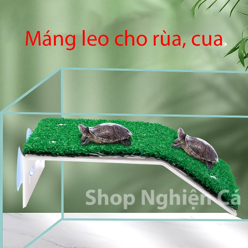 Máng leo cho rùa - phụ kiện trang trí bể nuôi rùa bò sát bãi cỏ mô phỏng