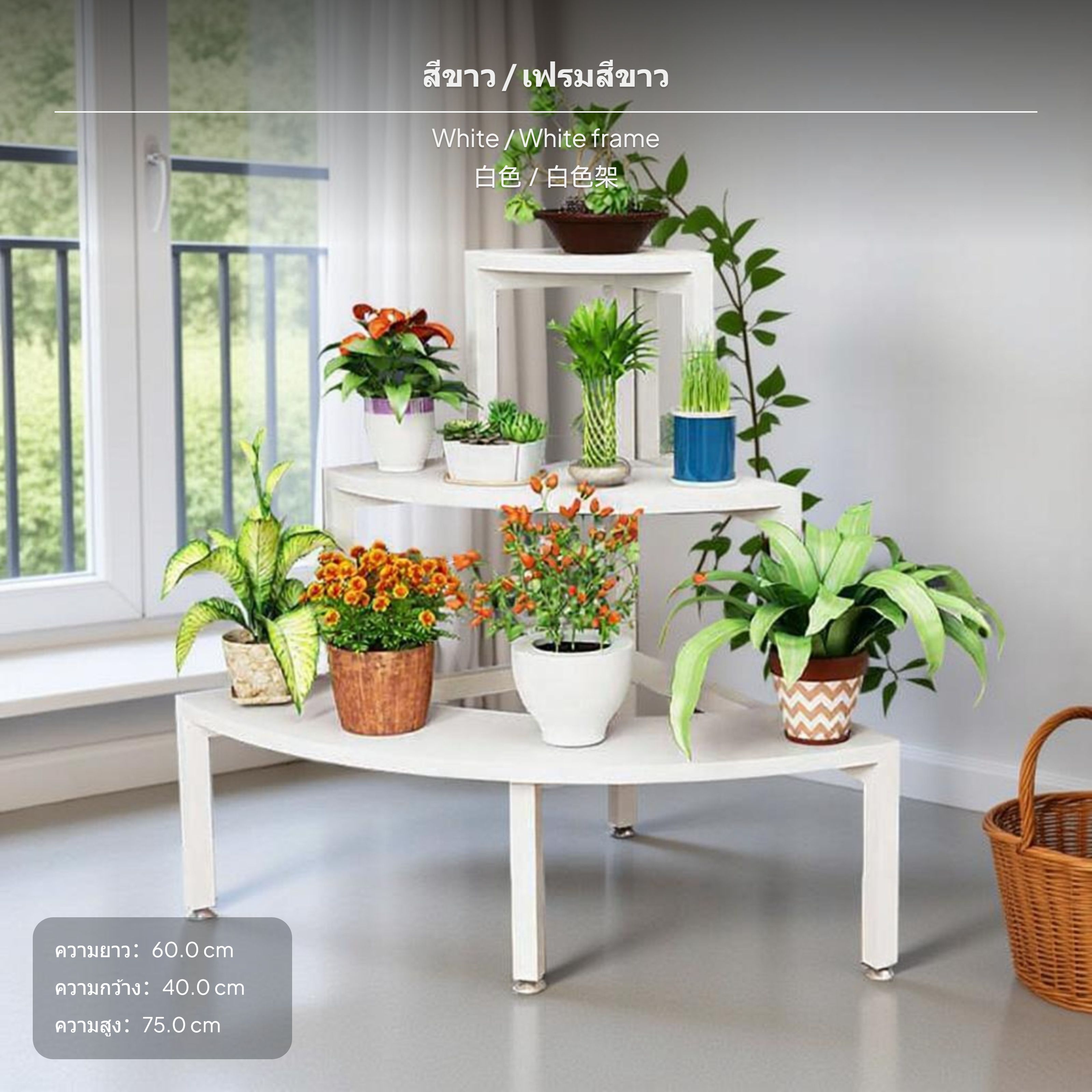 ชั้นวางดอกไม้เข้ามุมแบบหลายชั้น สำหรับตกแต่งภายในห้องนั่งเล่นและระเบียง ดีไซน์ทันสมัยทรงบันได ผลิตจากโลหะอเนกประสงค์ วางกระถางต้นไม้ได้หลายตำแหน่ง พร้อมแผ่นวางปรับระดับสีสันได้ จัดระเบียบพื้นที่ให้ดูเรียบร้อยและประหยัดพื้นที่ เหมาะสำหรับตั้งโชว์หรือจัดเก็ ราคา 1,600 บาท*ส่งฟรี