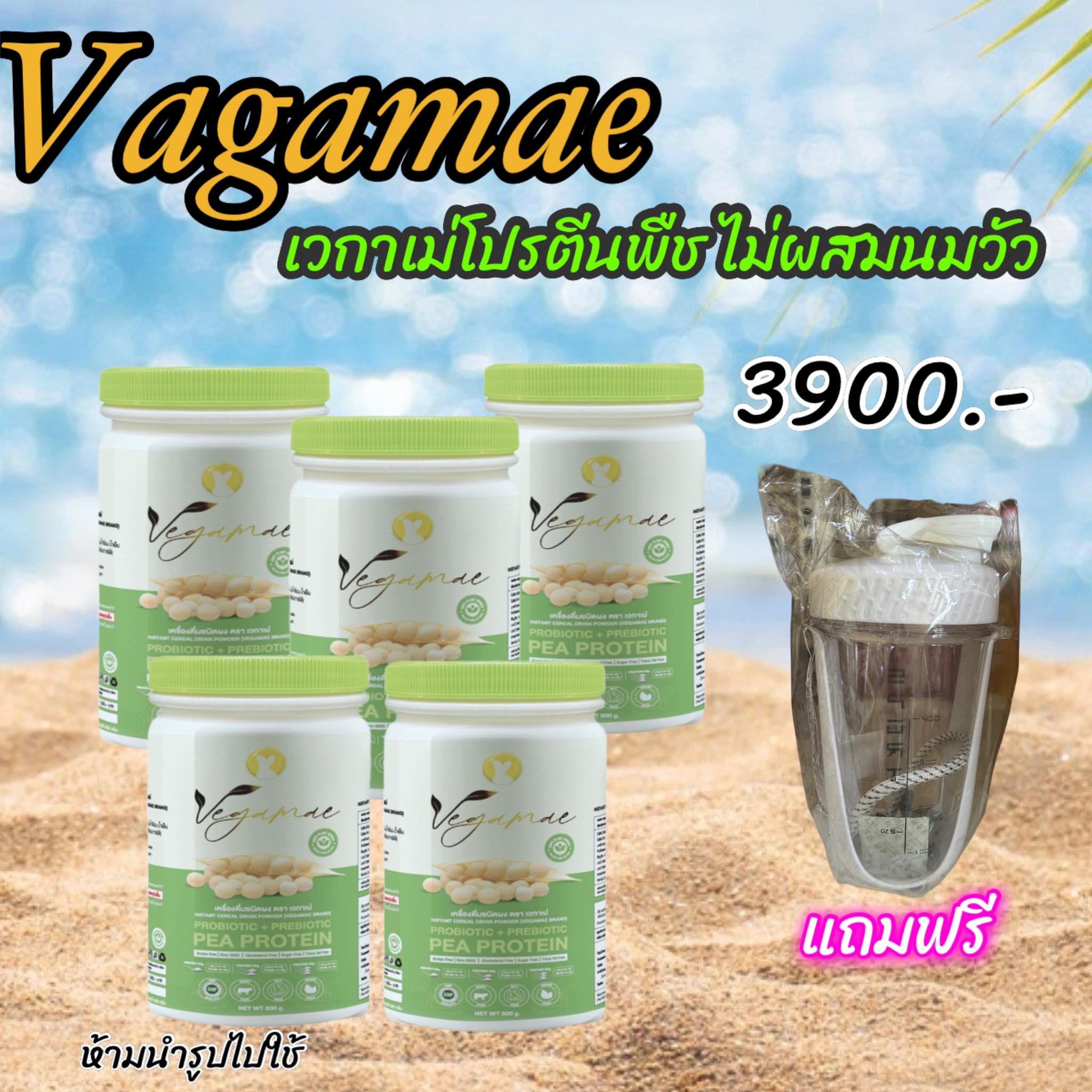 Join the Free Delivery Program Vegamae ️Golden Pea Protein, Vegamae Brand (5 Jars), High in Protein, Delicious. ราคา 3,900 บาท*ส่งฟรี