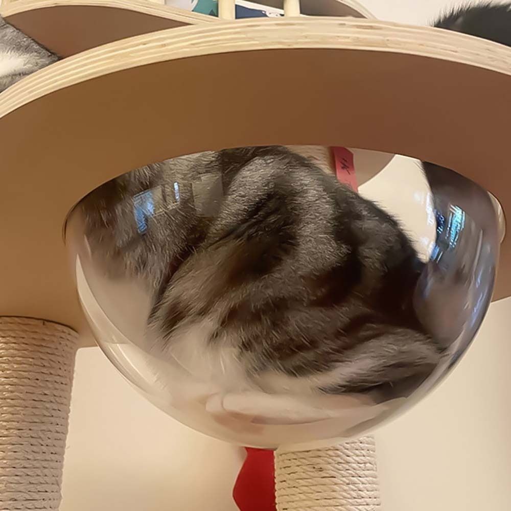 GGTU Mái vòm Bền Tự làm Bán cầu Cửa sổ cửa sổ Dành cho mèo Tấm che bụi cho