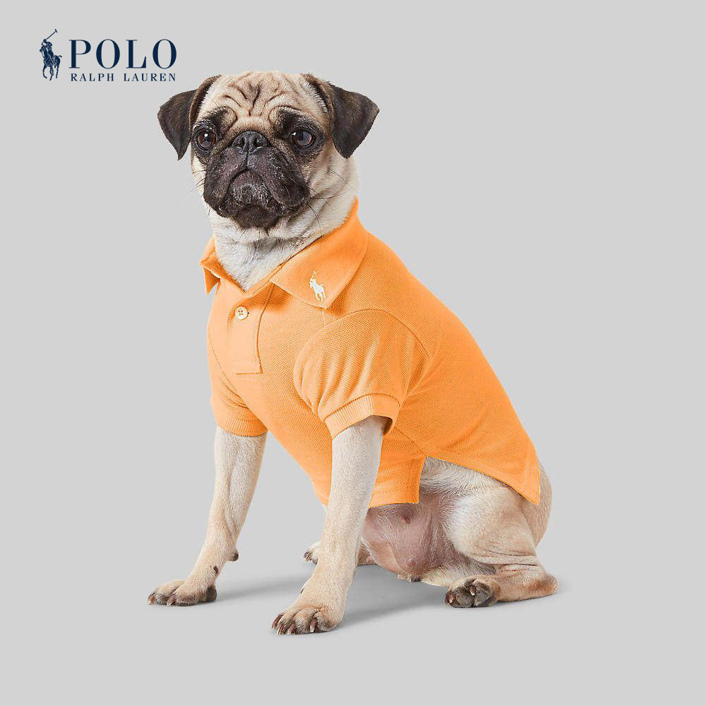 Polo Ralph Lauren Unisex Petwear-Cotton Mesh Dog Polo Shirt HMPOPAP5R920019 800 Orange ราคา 1,750 บาท*ส่งฟรี