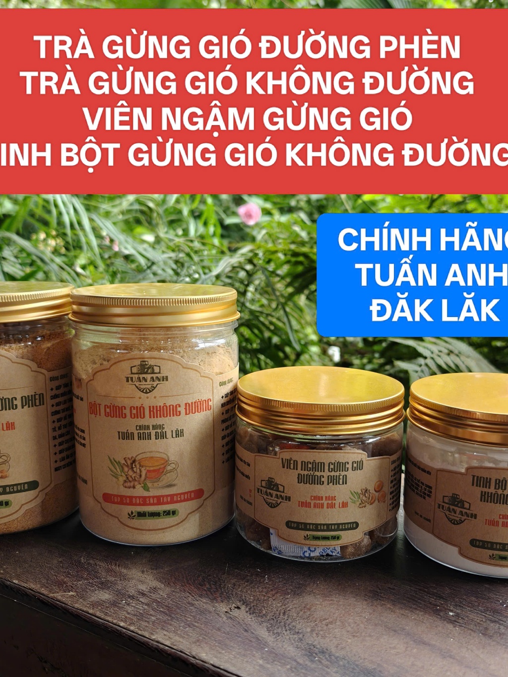 Bột Trà Gừng Gió KHÔNG ĐƯỜNG Và ĐƯỜNG PHÈN Chính Hãng Tuấn Anh Đăk Lăk Dành Cho Người Kiêng Đường