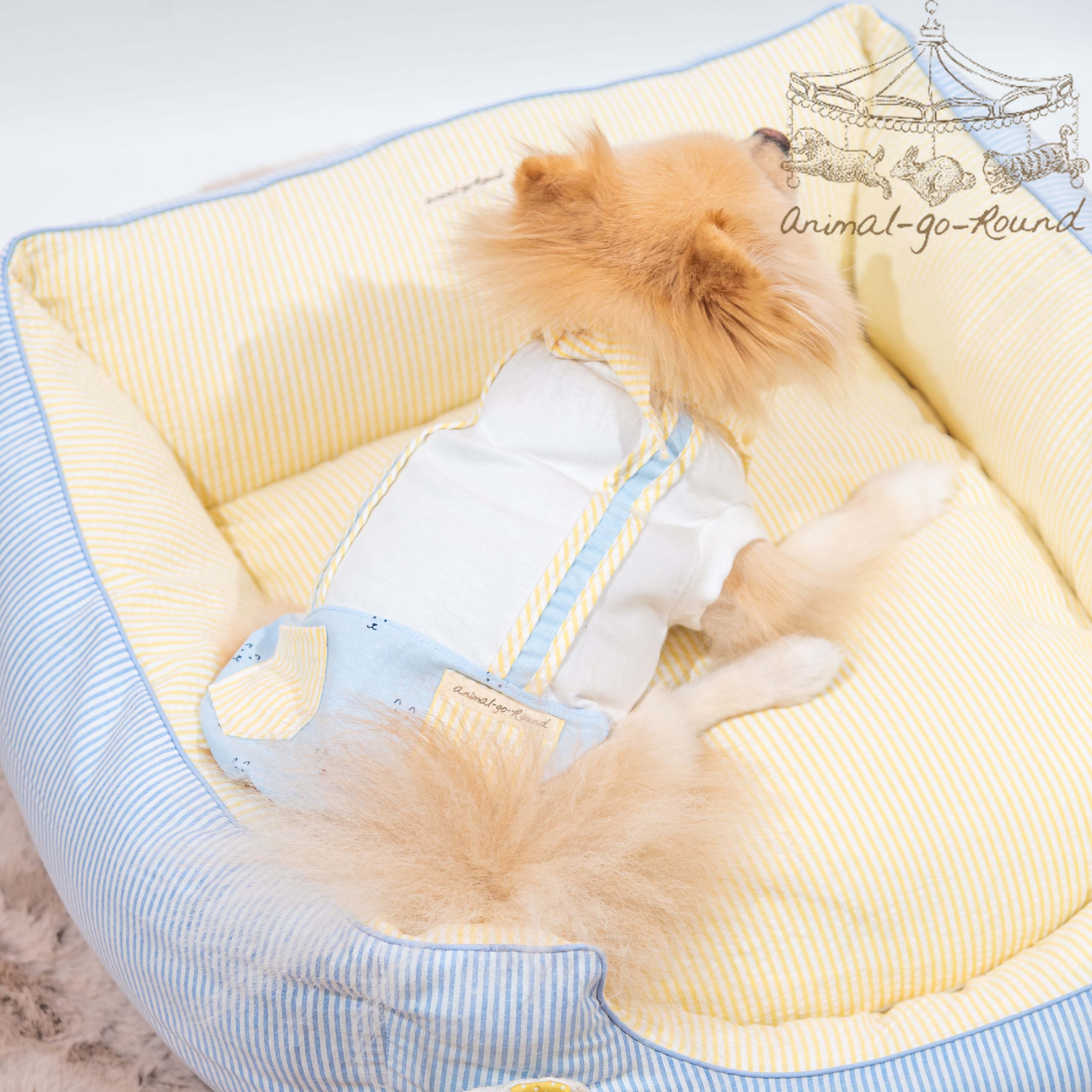 Animal-Go-Round เสื้อผ้าเครื่องแต่งกาย สัตว์เลี้ยง, หมา, แมว, สุนัข รุ่น Ira Boy ราคา 650 บาท*ส่งฟรี