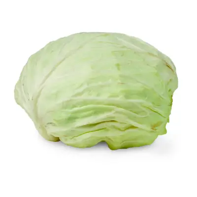 GIVVO Round Cabbage