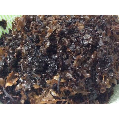 Rong Biển Nấu Sâm 1kg thenewlife0909