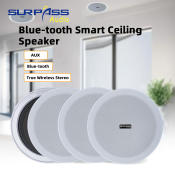 Bluetooth Ceiling Speaker with Amplifier - HiFi Stereo, 6 inch