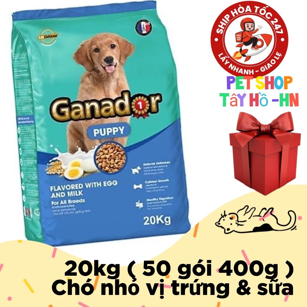 XẢ KHO - GIÁ SỐC - 20 KG ( 50 GÓI 400G ) Ganador Puppy Milk & Egg vị trứng sữa - Dành cho chó con