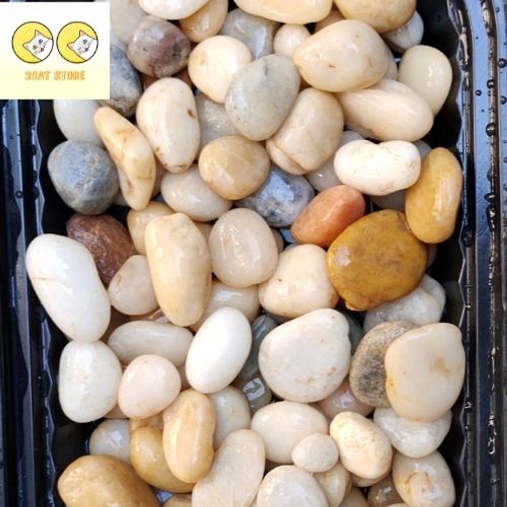 2kg sỏi suối size to trang trí bể cá, chậu cây