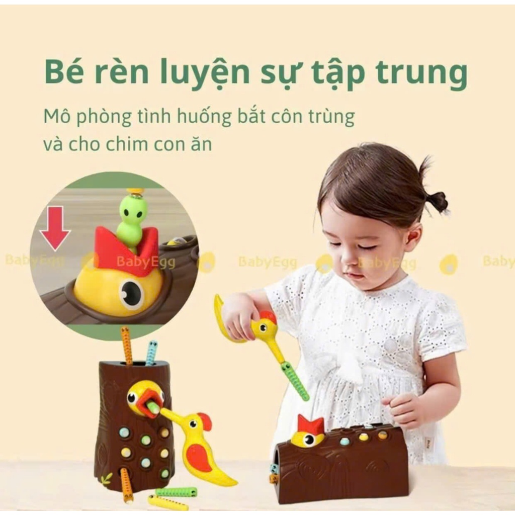Đồ chơi chim gõ kiến bắt sâu - 1816CGK