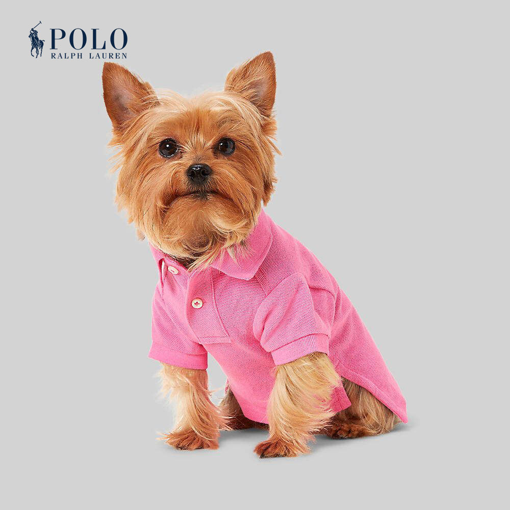 Polo Ralph Lauren Unisex Petwear-Big Pony Cotton Dog Polo Shirt HMPOPAP56320008 650 Pink ราคา 3,100 บาท*ส่งฟรี
