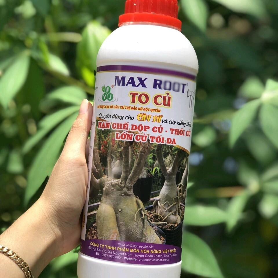 Max root - to củ sứ