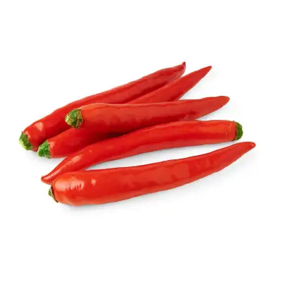 GIVVO Red Chilies