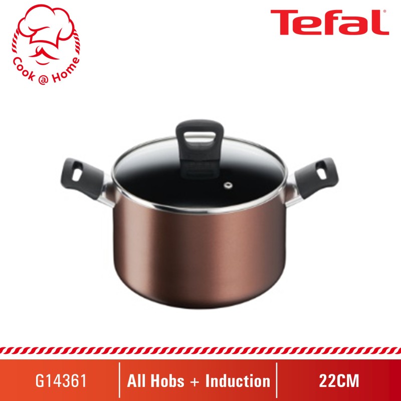 Tefal Day by Day Stewpot 22cm w/lid G14361 Singapore
