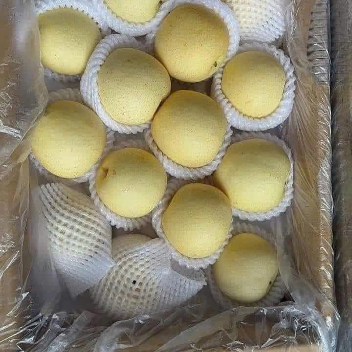 Lê đường (1 kg ) ngon ngọt