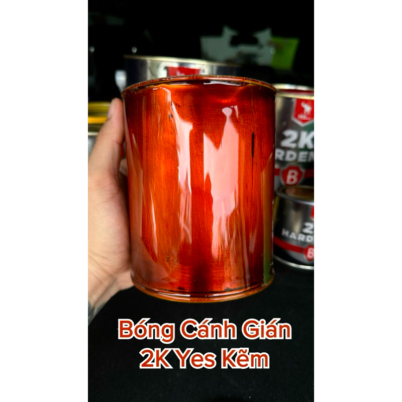 Bóng cánh gián 2 thành phần 2k yes