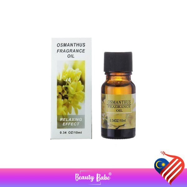 RHJY Ideal Fragrance Oil Aromatheraphy Essential Oil 10ml Aroma Air (12 Scents to choose) [Beauty Babe]