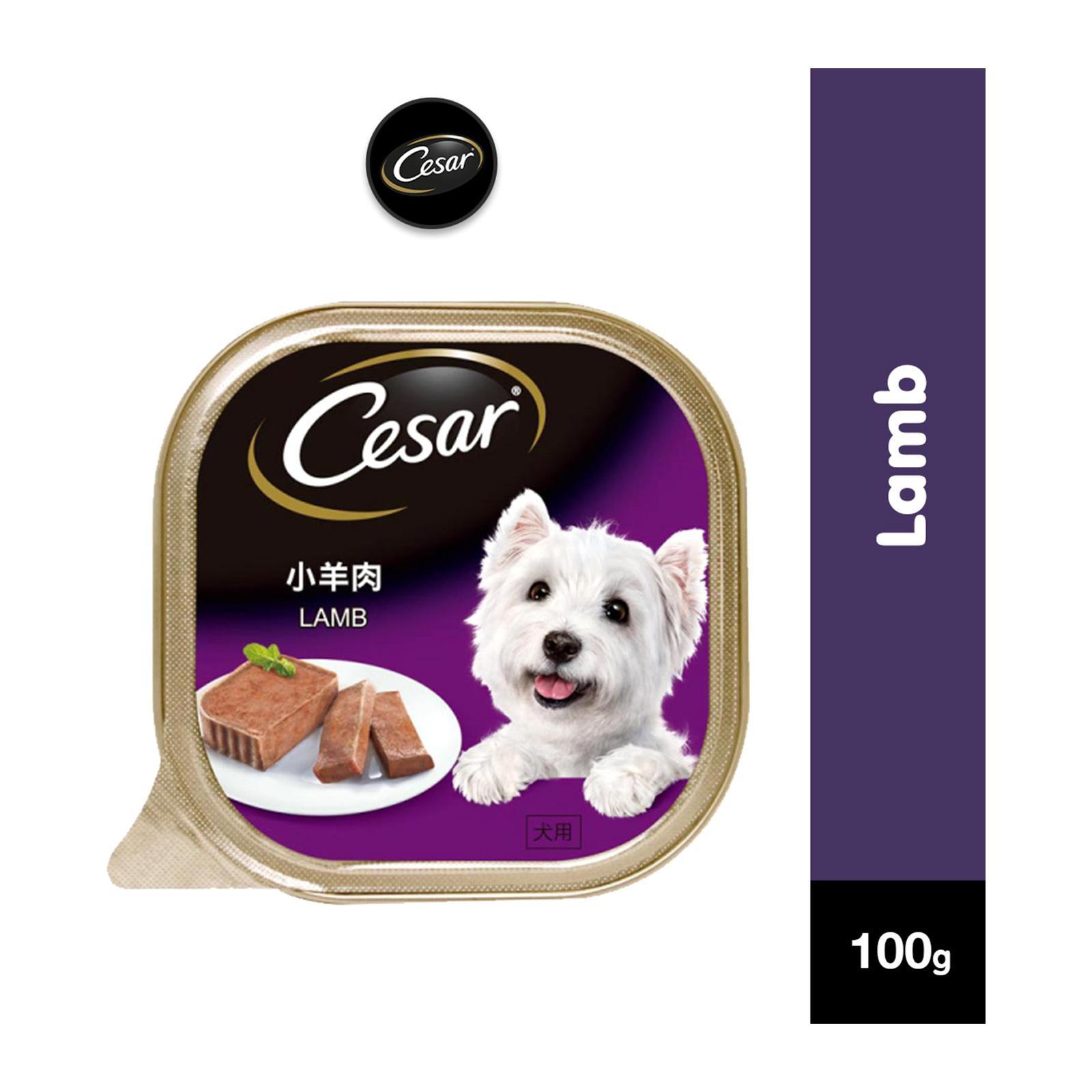Cesar DoG Food Adult Lamb 100G DoG Wet Food