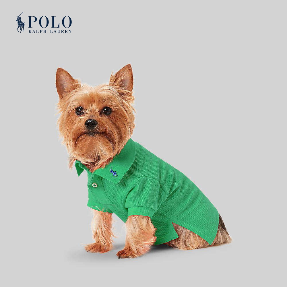 Polo Ralph Lauren Unisex Petwear-Cotton Mesh Dog Polo Shirt HMPOPAP56320003 300 Green ราคา 2,500 บาท*ส่งฟรี