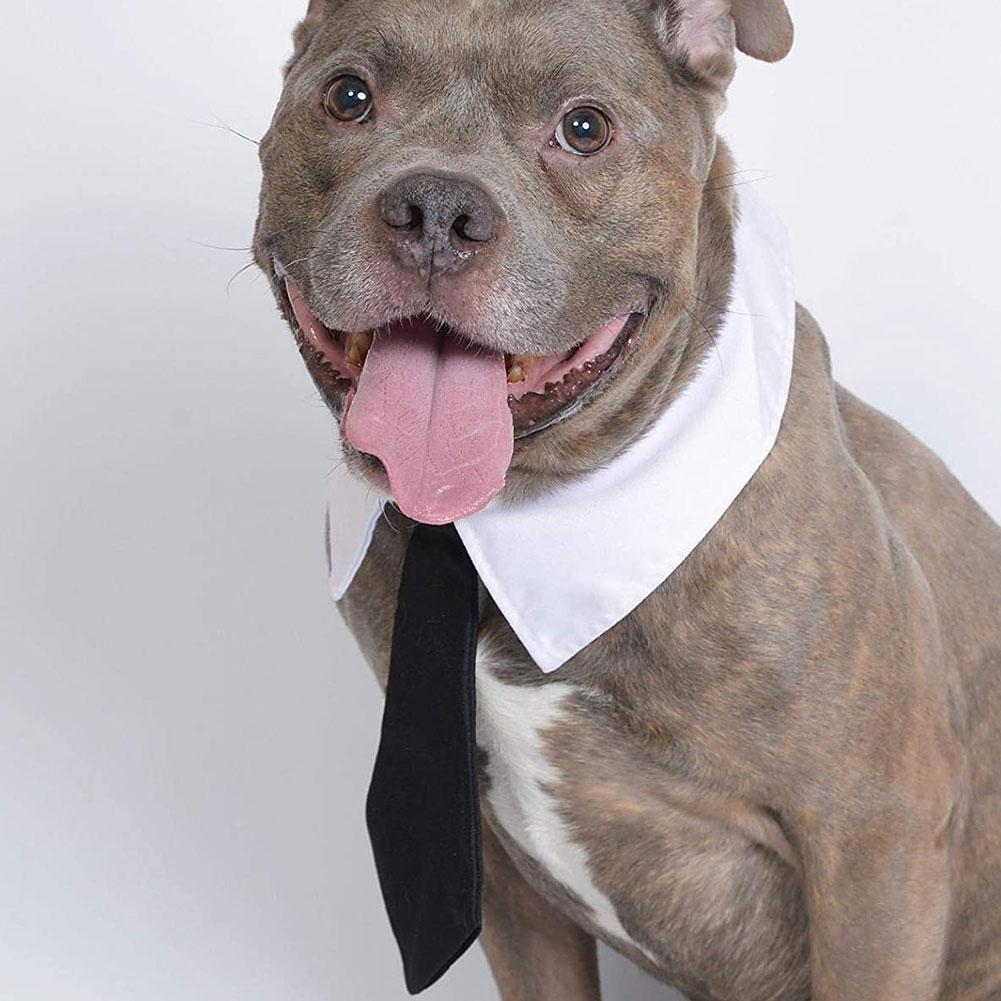 1pcs Cute Pet Tie For Dog & Cat A3Q2