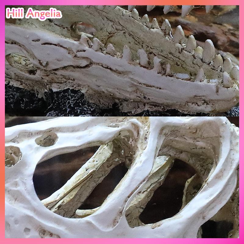 [Hill Angelia] Mô phỏng nhựa động vật hộp sọ trang trí tự làm bể cá bể cá phụ kiện trang trí sáng tạo hộp sọ cảnh quan bể cá trang trí