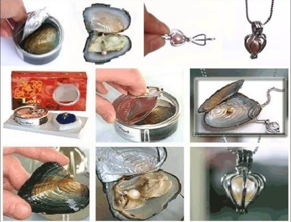 Natural Pearl Oyster Pendant Necklace DIY Natural Oyster Desire Cultured Love Pearls Oysters Shellcreative Jewelry DHTY-VN