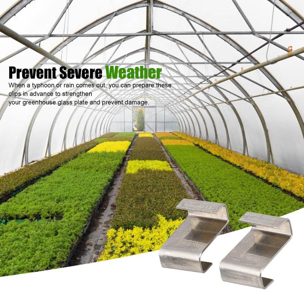 【Rockhouse】 bền lâu Z clip cho Gói bảo trì kính nhà Kính 25/50/100 [Sản phẩm Mới]