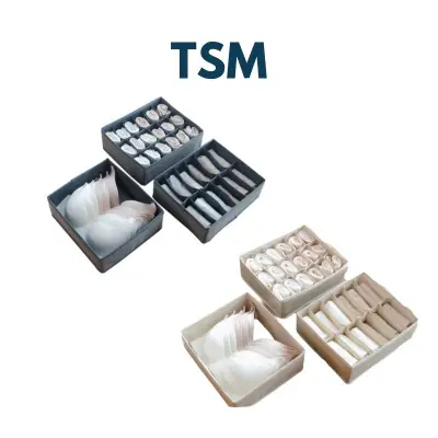 TSM Set of 3 Fabric Wardrobe Organizer Box for Drawers Bra Undergarments Undies Socks Box with Slots