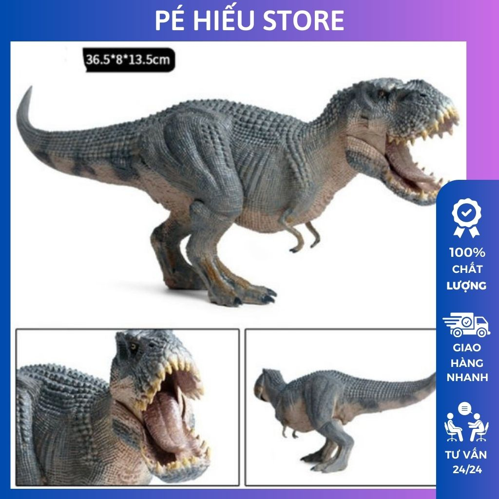 Mô hình khủng long Trex  Rexy Wdragon 135  T rex WDragon Review  Việt Nam  YouTube