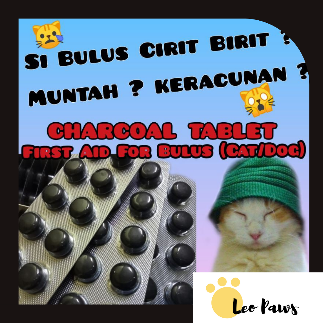 Buy Ubat Kucing Cirit Online Lazada Com My
