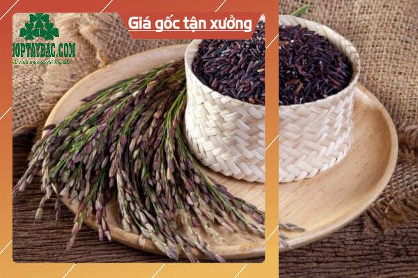 [1KG] Gạo lứt đen ĐIỆN BIÊN siêu ngon gói thích hợp ăn kiêng ăn giảm cân (thaopham21031962)